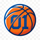 球探篮球比分网官方logo，蓝色篮球图案配以网站名称，代表专业篮球比分直播平台